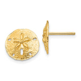 14k Sand Dollar Post Earrings